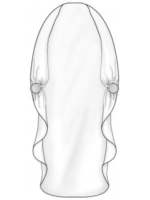 Pattern 2008 drawing