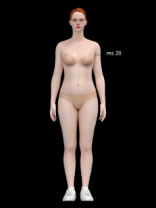 How to measure bicep upper arm ms 28 Minerva Patterns