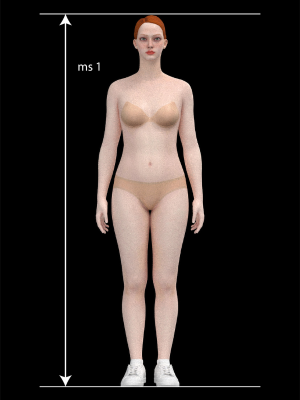 How to measure height ms 1 Minerva Patterns